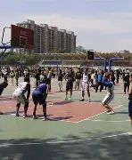 布莱顿清晨止住颓势，志在荷甲名次提升，震撼外界，资深球员宣示担当的简单介绍-金年会首页